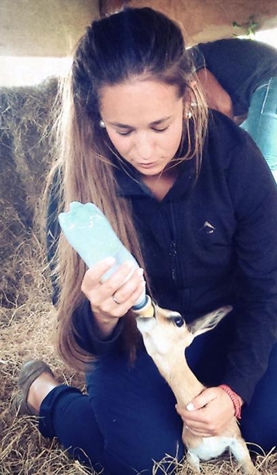Rearing Springbuck at PetroSA